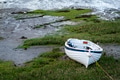 White rowing boat lies stranded on the grassy shore White rowing boat lies stranded on the grassy shore - PhotoDune Item for Sale