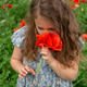 a cute five-year-old girl in a cotton summer dress sniffs a bouquet of poppies a cute five-year-old girl in a cotton summer dress sniffs a bouquet of poppies - PhotoDune Item for Sale