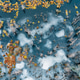 Vibrant Orange Moss and Turquoise Water Peat Bog Aerial View Vibrant Orange Moss and Turquoise Water Peat Bog Aerial View - PhotoDune Item for Sale