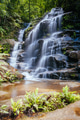 Wentworth Falls in Blue Mountains Australia Wentworth Falls in Blue Mountains Australia - PhotoDune Item for Sale