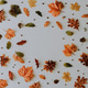 Creative autumn pattern made with yellow fallen laeves and berries. Minimal flat lay. Creative autumn pattern made with yellow fallen laeves and berries. Minimal flat lay. - PhotoDune Item for Sale