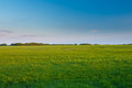 Countryside Rural Wheat Field Landscape Under Spring Blue Clear Sunny Sky. Agricultural Landscape Countryside Rural Wheat Field Landscape Under Spring Blue Clear Sunny Sky. Agricultural Landscape - PhotoDune Item for Sale