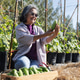 A senior woman joyfully admires a freshly harvested cucumber while sitting in a sunny garden. A senior woman joyfully admires a freshly harvested cucumber while sitting in a sunny garden. - PhotoDune Item for Sale