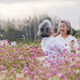 Happy Asian Senior Women Sharing Joy in Pink Flower Field Happy Asian Senior Women Sharing Joy in Pink Flower Field - PhotoDune Item for Sale
