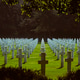 Crosses Crosses - PhotoDune Item for Sale