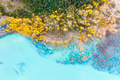 Aerial view. Birch forest in turquoise water. Abraham Lake. Natural scenery in fall time. Canada Aerial view. Birch forest in turquoise water. Abraham Lake. Natural scenery in fall time. Canada - PhotoDune Item for Sale
