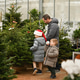 Father and children choose a Christmas tree at a forestry. Father and children choose a Christmas tree at a forestry. - PhotoDune Item for Sale