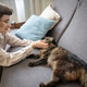 Woman gently scratching cat ears and snout on sofa at home during calm bond petting, feline friend Woman gently scratching cat ears and snout on sofa at home during calm bond petting, feline friend - PhotoDune Item for Sale