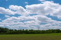 Green Field Landscape On A Cloudy Day Green Field Landscape On A Cloudy Day - PhotoDune Item for Sale