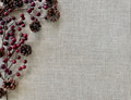 Christmas background with pinecones and cranberries on textured surface and space for text overlay Christmas background with pinecones and cranberries on textured surface and space for text overlay - PhotoDune Item for Sale
