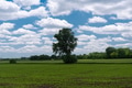 Green Field Landscape On A Cloudy Day Green Field Landscape On A Cloudy Day - PhotoDune Item for Sale