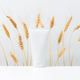 Cosmetic product on the table, white container for skin care decorated wheat ears Cosmetic product on the table, white container for skin care decorated wheat ears - PhotoDune Item for Sale