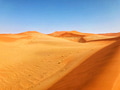 Dune Landscape Dune Landscape - PhotoDune Item for Sale