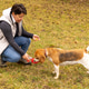 Owner giving water to dog Owner giving water to dog - PhotoDune Item for Sale