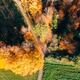 Aerial autumn field golden tree colorful forest edge landscape Germany Aerial autumn field golden tree colorful forest edge landscape Germany - PhotoDune Item for Sale