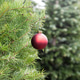 Red Ornament Red Ornament - PhotoDune Item for Sale
