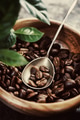 Coffee Beans Coffee Beans - PhotoDune Item for Sale