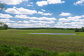 Green Field Landscape On A Cloudy Day Green Field Landscape On A Cloudy Day - PhotoDune Item for Sale