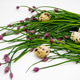 Fresh green onion sprouts with pink buds with quail eggs. The concept of organic Easter. Copy space Fresh green onion sprouts with pink buds with quail eggs. The concept of organic Easter. Copy space - PhotoDune Item for Sale