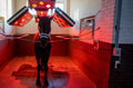 Front view of horse under light therapy in solarium Front view of horse under light therapy in solarium - PhotoDune Item for Sale