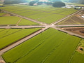 Aerial view of the road through the green field. Agricultural landscape Aerial view of the road through the green field. Agricultural landscape - PhotoDune Item for Sale