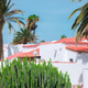 Tropical green location. Cactus and palm. Canary island. Travel concept Tropical green location. Cactus and palm. Canary island. Travel concept - PhotoDune Item for Sale