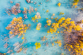 Aerial view. Birch forest in turquoise water. Abraham Lake. Natural scenery in fall time. Canada Aerial view. Birch forest in turquoise water. Abraham Lake. Natural scenery in fall time. Canada - PhotoDune Item for Sale