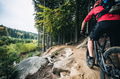 Mountain biker riding cycling in autumn forest Mountain biker riding cycling in autumn forest - PhotoDune Item for Sale
