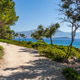 Empty trail on sea shore on idyllic Badija island near Korcula, Croatia Empty trail on sea shore on idyllic Badija island near Korcula, Croatia - PhotoDune Item for Sale