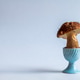 Birch bolete mushroom in blue eggcup Birch bolete mushroom in blue eggcup - PhotoDune Item for Sale