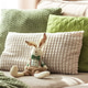 Cozy Sofa with Plush Easter Bunny Doll and Textured Pillows in Sunlight Cozy Sofa with Plush Easter Bunny Doll and Textured Pillows in Sunlight - PhotoDune Item for Sale