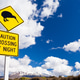 Kiwi Crossing road sign and volcano Ruapehu NZ Kiwi Crossing road sign and volcano Ruapehu NZ - PhotoDune Item for Sale