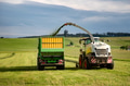 combine pours silage combine pours silage - PhotoDune Item for Sale