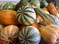 Side view of Fall gourds & vegetables with the colors of the season background Side view of Fall gourds & vegetables with the colors of the season background - PhotoDune Item for Sale