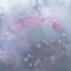 Soft pastel flowers in dreamy blur with gentle light Soft pastel flowers in dreamy blur with gentle light - PhotoDune Item for Sale