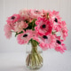 Pink anemones bouquet in clear glass vase creating floral beauty Pink anemones bouquet in clear glass vase creating floral beauty - PhotoDune Item for Sale
