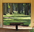 Beautiful view of the forest from where I was standing. Framed nature. Enchanting. Depth of field Beautiful view of the forest from where I was standing. Framed nature. Enchanting. Depth of field - PhotoDune Item for Sale