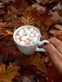 Woman enjoying a cup of hot chocolate with marshmallows on a cold & rainy Fall day. Woman enjoying a cup of hot chocolate with marshmallows on a cold & rainy Fall day. - PhotoDune Item for Sale