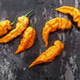 Hot Sugar Rush Peach peppers atop dark textured backdrop, top view Hot Sugar Rush Peach peppers atop dark textured backdrop, top view - PhotoDune Item for Sale
