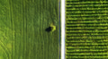 Aerial landscape. Air view of the vineyard. Agricultural landscape from the drone. Rows in the field Aerial landscape. Air view of the vineyard. Agricultural landscape from the drone. Rows in the field - PhotoDune Item for Sale