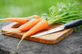 Fresh Carrots Bunch Fresh Carrots Bunch - PhotoDune Item for Sale