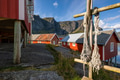Red Fishing Huts in Lofoten Red Fishing Huts in Lofoten - PhotoDune Item for Sale