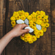 Top view of a folded heart made of dandelion flowers and a woman's hand fills the void with a stone. Top view of a folded heart made of dandelion flowers and a woman's hand fills the void with a stone. - PhotoDune Item for Sale