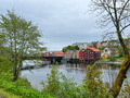 Trondheim Norway colorful old storehouses flanking both sides of Nidelva river framed by trees Trondheim Norway colorful old storehouses flanking both sides of Nidelva river framed by trees - PhotoDune Item for Sale