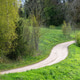 Winding Country Path Through Lush Latvian Spring Landscape Winding Country Path Through Lush Latvian Spring Landscape - PhotoDune Item for Sale