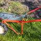 Wheelbarrow with garden waste on lawn after bed cleanup horizontal view Wheelbarrow with garden waste on lawn after bed cleanup horizontal view - PhotoDune Item for Sale