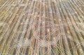 farm field farm field - PhotoDune Item for Sale