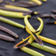 Split Vanilla Pods Showing Defect During Processing Split Vanilla Pods Showing Defect During Processing - PhotoDune Item for Sale