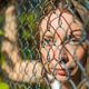 The girl in the park looks through a metal fence. The girl in the park looks through a metal fence. - PhotoDune Item for Sale