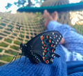 Enjoying nature in the hammock with a beautiful Black Swallowtail ready to fly away. Depth of field Enjoying nature in the hammock with a beautiful Black Swallowtail ready to fly away. Depth of field - PhotoDune Item for Sale